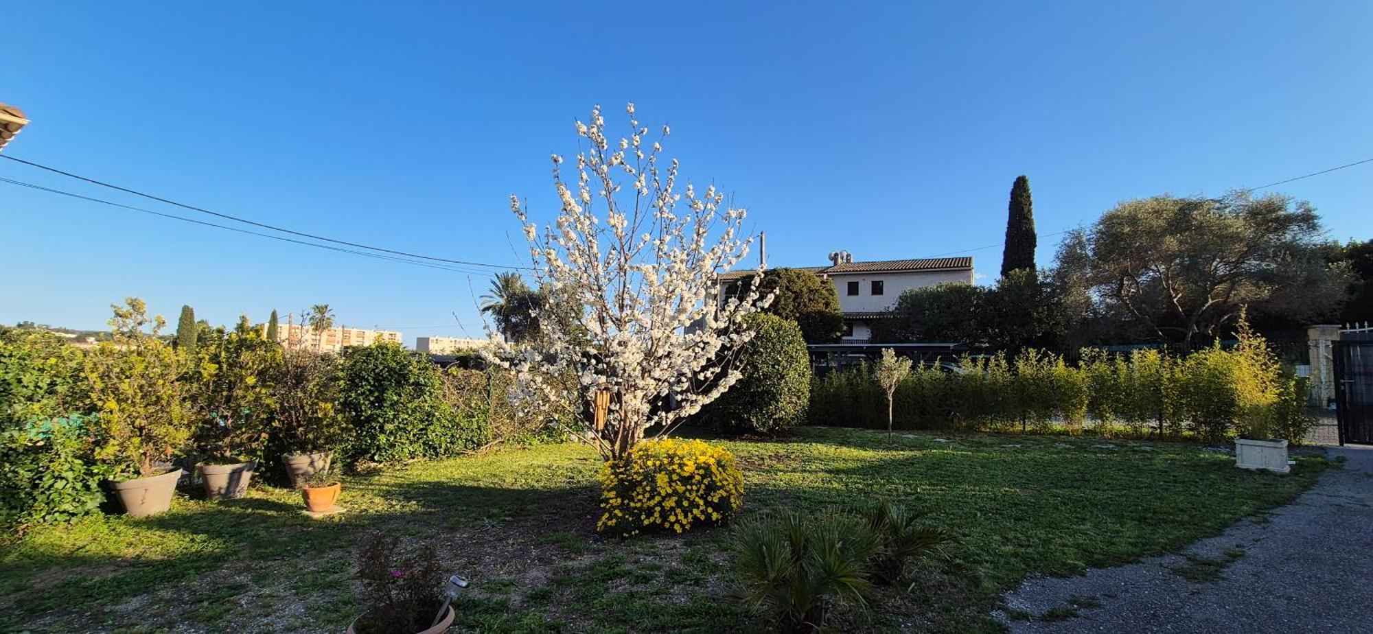 Studio Independant Avec Terrasse A Juan Les Pins Антиб Экстерьер фото